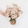 One dozen buttery blush quicksand roses wrapped with accenting greenery. 