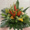 mixed seasonal tropical arrangement ( large)
(tropical flowers may vary from picture based