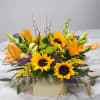 Send sunshine in a box--Our Good Day Sunshine bouquet is bursting with