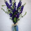 The Larkspur symbolize an open heart and a burning attachment and transmit