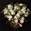 Freesia bowl 