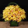 MEZMERIZING CYMBIDIUM ORCHID ARRANGEMENT IN GLASS CUBE.