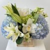 Discover the breathtaking serenity of Coastal Blooms, a premium flower arrangement that