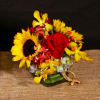 SUMMER/SPRING ARRANGEMENT EASY AND PRACTICAL IN SMALL GLASS CUBE, WITH SUNFLOWERS, HYDRANGEAS
