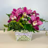 An elegant arrangement of pink cymbidium orchids. 