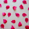 Petals &amp; Blooms Flowers offers rose petals for your special night or