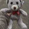 A soft and cuddly teddy bear &mdash; perfect for sending love, warmth