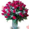 25 Roses in vase with babies breath and greens (Standard) big
50 Roses