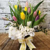 One dozen tulips in assorted spring colors in a bed of white