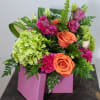 Bright, bold colors of orange, green and hot pink evoke thoughts of