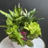 Garden of green and blooming plants in a basket or ceramic container.
