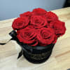 Mini black velvet box with 8 Everlasting roses. Everlasting roses are real