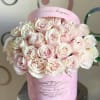 25 Fresh Premium dust pink roses