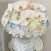 Product Information
Mix of colorful hydrangeas and white orchids in our Signature Box