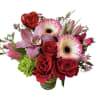 Pink gerbera daisy, red roses, green hydrangea, pink cymbidium orchid, tulips and