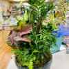 Indoor plant arrangements that are typically occasion-inspired mixes of pothos, prayer plants