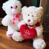 

Make their Valentine&rsquo;s Day with a cute Medium Sized Stuffed Animal from