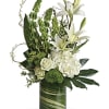 Snow white blooms and eye-catching greens create this beautiful botanical gift that's