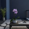 A high quality Single pink orchid arrangement with a vase 8.5" D
