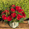 Red roses will brighten anyone's Valentines day. 18 dazzling red roses, accented