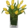 Sunny yellow tulips are a sure sign for the change of season.