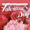 A luxury selection pf premium roses and seasonal blooms arrangement in Valentine