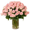 Our classic 75 soft pink roses are designed with long-stem 70 cm