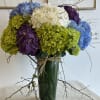 A small combination of colors in hydrangea with mini green and a