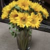A Burst of Sunshine Bloomed Sunflower Bouquet is certainly brighten anyones day!!!!!