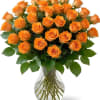 Choice of 12 or 24 Large Bloom Tangerine Roses placed in glass
