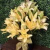 BEAUTIFUL FRESH CUT BLOOMING  LILLIES IN GLASS VASE WITH BOW DESIGNERS