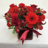 An all-red arrangement in a colored cube, featuring a variety of red