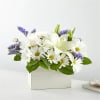 Channeling calmness and serenity our Beyond Blue Box Bouquet features white blooms