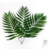 These are the full green palm leaves that are associated with the