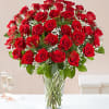 50 Red Roses with baby's breath and greens in a vase to