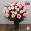 3 Dozen Premium Long Stem Pink Roses

The Beretania Florist three dozen extra