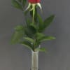 A timeless red rose elegantly presented in a clear vase, accented with