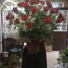 Beautiful 24 long stems red roses 