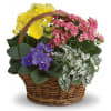 Sing a song of spring by sending this gorgeous basket full of
