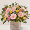 A pretty wooden box of gerberas, roses, mums and alstroemaria.