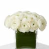All one color ranunculus in a clear ti leaf lined cube. You