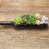 Wine Bottle Succulent Garden &ndash; Handcrafted Living Decor

Add a touch of life