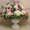 in a classic white urn sits a garden of feminine flowers including