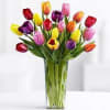 20 assorted color tulips arranged simply and beautifully in a clear vase