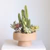 Bring warm desert inspired charm into your space with this Adobe Succulent