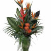 Inspired by golden sunset and island breeze, this tropical arrangement features birds