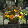 Large basket of assorted autumn favorites arranged in a "fresh from the