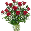Timeless, elegant, and endlessly romantic, our Classic Red Dozen Roses is the