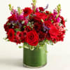 This arrangement features a vibrant mix of red and pink roses, gerbera