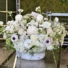 This chic and modern arrangement features stunning white Roses, Hydrangea, Phalaenopsis Orchids